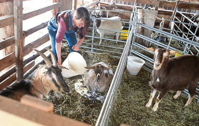 9ecb0086-97ad-4255-8e3e-d0f9f86c92e0.jpg_3