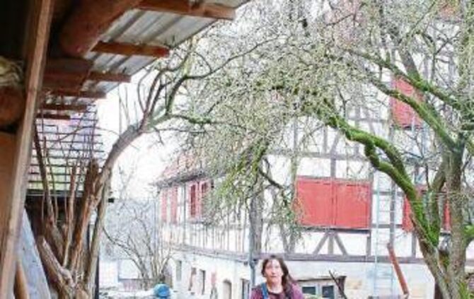 709e5ae9-8a05-4866-b23c-e122d303cbf9.jpg_4