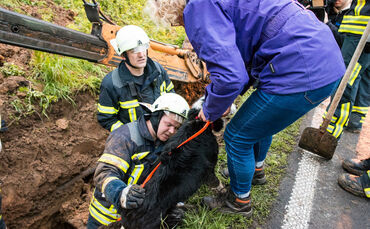 Hund steckt im Rohr fest - Bild 22_0