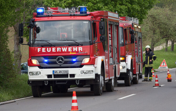 Hund steckt im Rohr fest - Bild 11_12