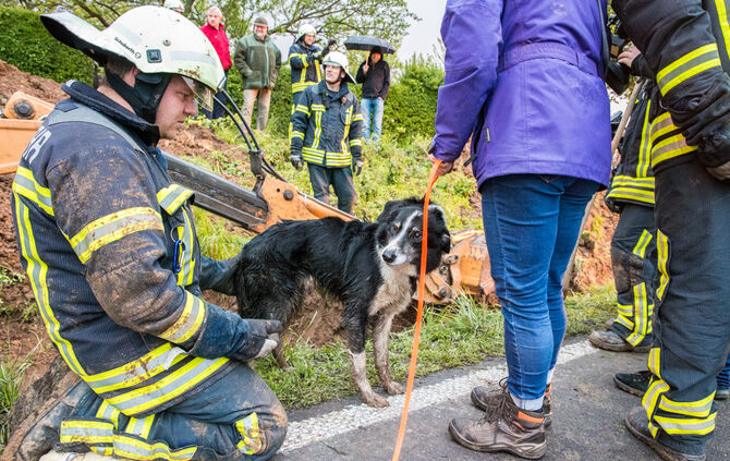 Hund steckt im Rohr fest - Bild 26_17