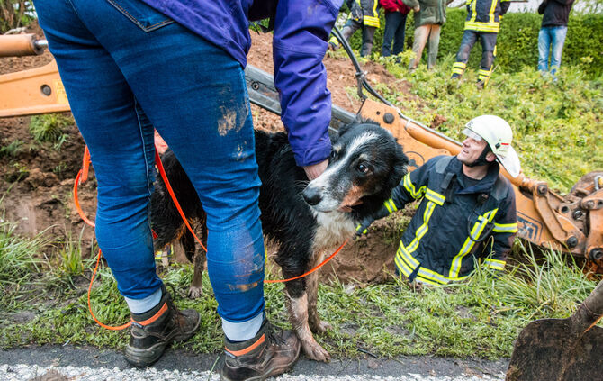 Hund steckt im Rohr fest - Bild 23_20