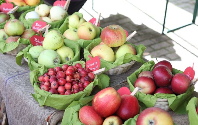 Apfelmarkt - Bild 39_22