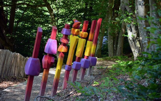 Erfahrungsfeld der Sinne