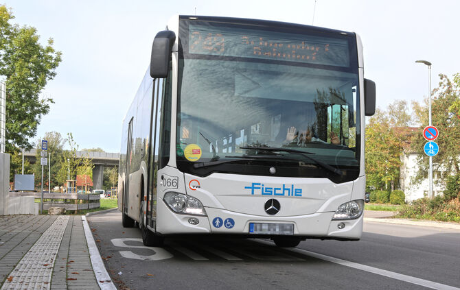 Bus Fischle