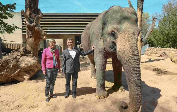 Weiterentwicklung der Wilhelma_0