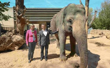 Weiterentwicklung der Wilhelma_0