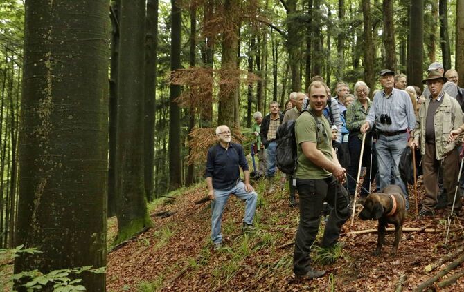 079d6f2e-f65e-43b2-b021-50c206d45d8c.jpg_0