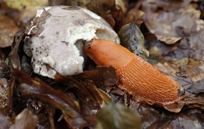 71e329d1-d464-4915-8304-e751841d3426.jpg_1