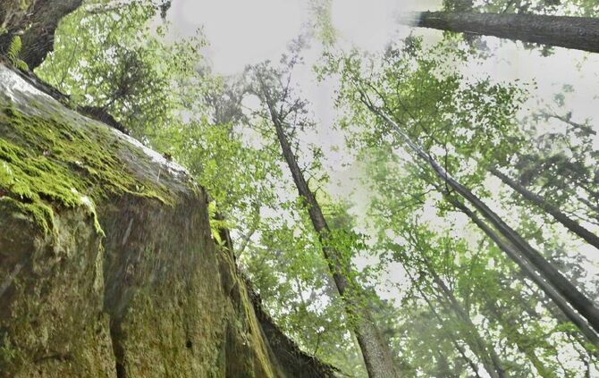 7cb79aef-31f1-49e1-b561-87e065a93abc.jpg_2