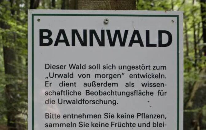 89093470-b132-436e-89d6-705387789103.jpg_3