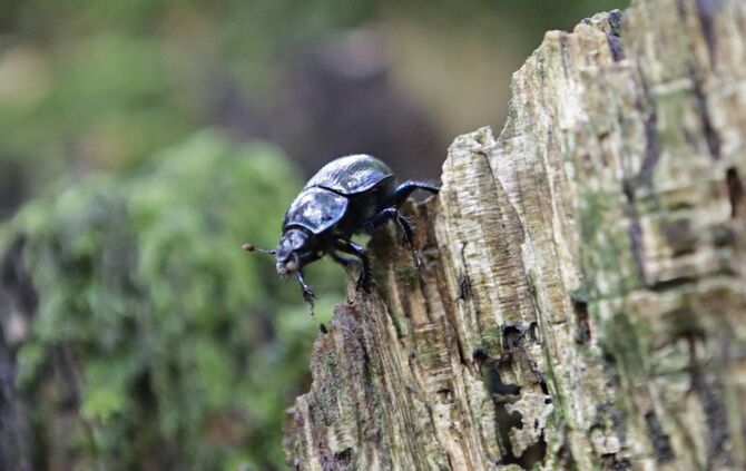 8b29f5bb-6f21-433b-a7c3-2feabb89bda5.jpg_4