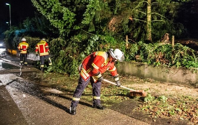 Grosse Tanne stuerzt nach Sturm um - Bltze erhellen den Nachthimmel - Bild 17_0