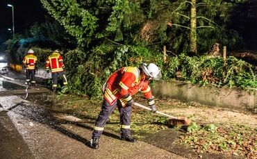 Grosse Tanne stuerzt nach Sturm um - Bltze erhellen den Nachthimmel - Bild 17_0