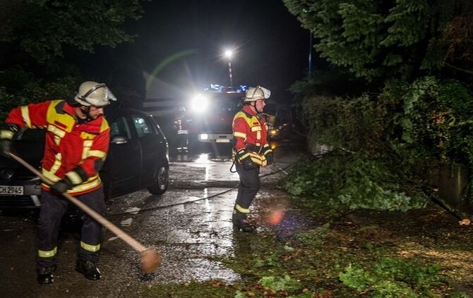 Grosse Tanne stuerzt nach Sturm um - Bltze erhellen den Nachthimmel - Bild 15_1