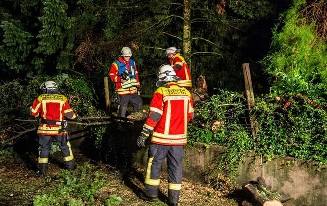 Grosse Tanne stuerzt nach Sturm um - Bltze erhellen den Nachthimmel - Bild 13_3