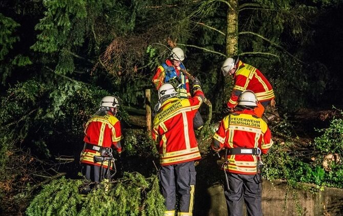 Grosse Tanne stuerzt nach Sturm um - Bltze erhellen den Nachthimmel - Bild 12_4