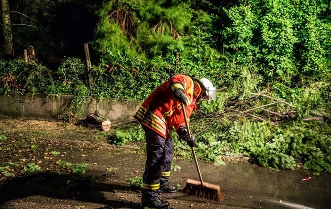 Grosse Tanne stuerzt nach Sturm um - Bltze erhellen den Nachthimmel - Bild 16_5