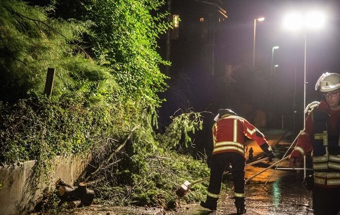Grosse Tanne stuerzt nach Sturm um - Bltze erhellen den Nachthimmel - Bild 20_7