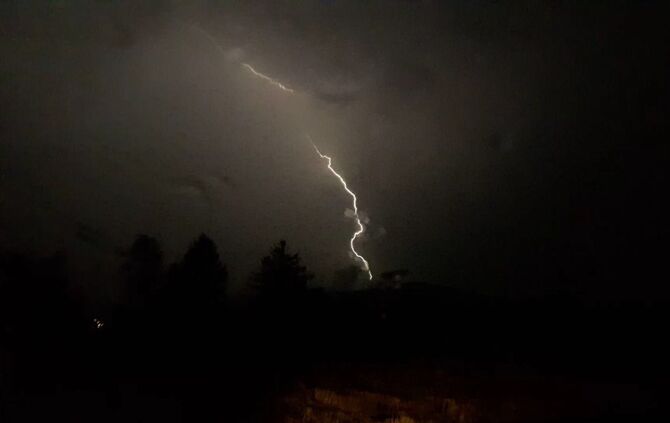 Grosse Tanne stuerzt nach Sturm um - Bltze erhellen den Nachthimmel - Bild 22_10