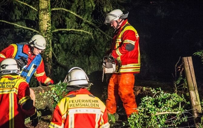 Grosse Tanne stuerzt nach Sturm um - Bltze erhellen den Nachthimmel - Bild 11_14