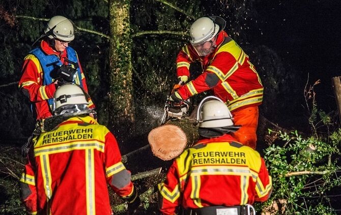 Grosse Tanne stuerzt nach Sturm um - Bltze erhellen den Nachthimmel - Bild 10_15