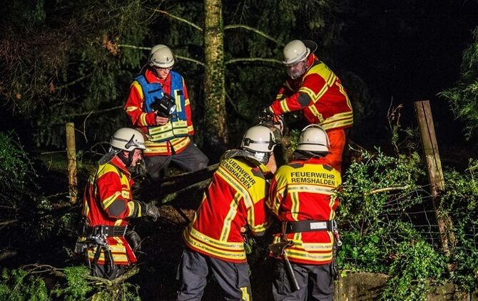 Grosse Tanne stuerzt nach Sturm um - Bltze erhellen den Nachthimmel - Bild 09_16