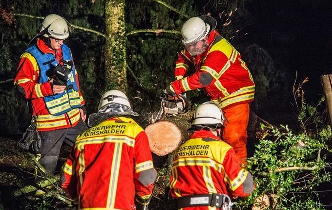 Grosse Tanne stuerzt nach Sturm um - Bltze erhellen den Nachthimmel - Bild 07_18