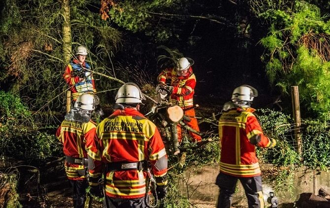 Grosse Tanne stuerzt nach Sturm um - Bltze erhellen den Nachthimmel - Bild 03_19