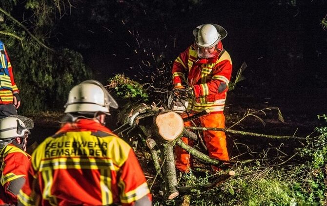 Grosse Tanne stuerzt nach Sturm um - Bltze erhellen den Nachthimmel - Bild 04_20