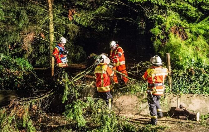 Grosse Tanne stuerzt nach Sturm um - Bltze erhellen den Nachthimmel - Bild 05_22