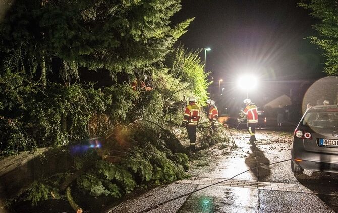 Grosse Tanne stuerzt nach Sturm um - Bltze erhellen den Nachthimmel - Bild 01_23