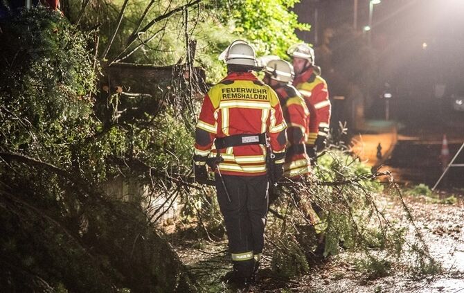 Grosse Tanne stuerzt nach Sturm um - Bltze erhellen den Nachthimmel - Bild 02_24