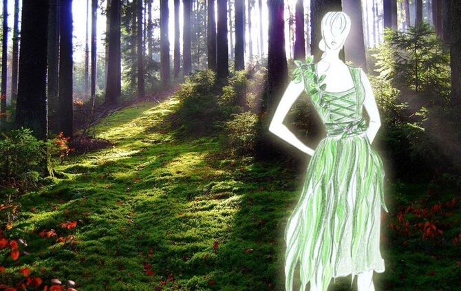 schwäbische_waldfee_0