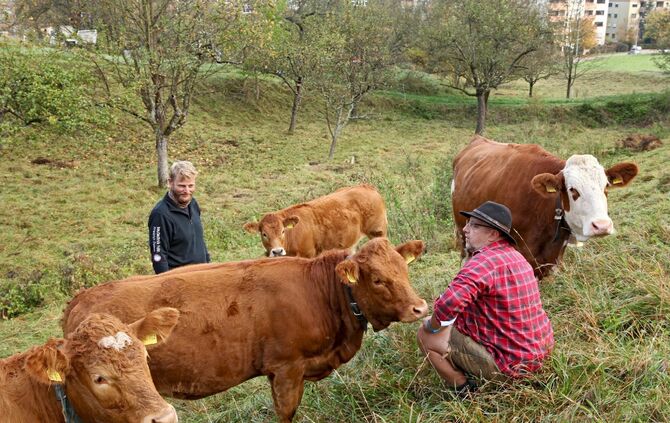 47e7f026-cb4c-46eb-a74f-58d37100cfd2.jpg_0