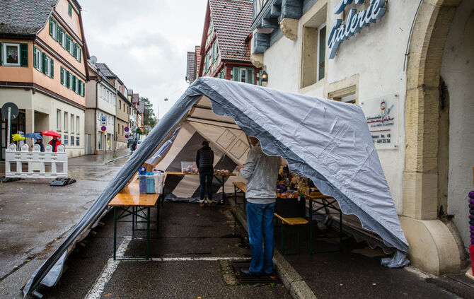 Stadtmarkt trotzt dem Wetter - Bild 03_4