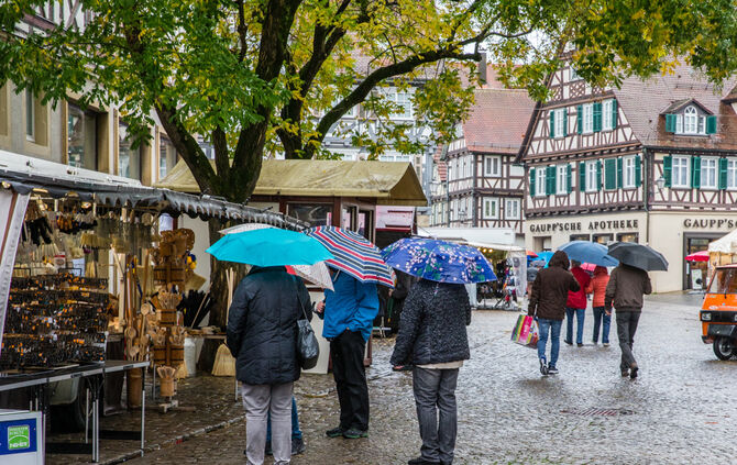 Stadtmarkt trotzt dem Wetter - Bild 07_8