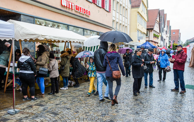 Stadtmarkt trotzt dem Wetter - Bild 11_11