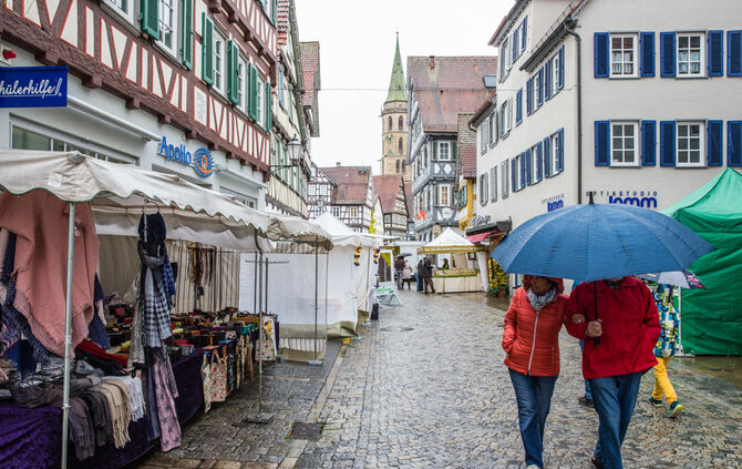Stadtmarkt trotzt dem Wetter - Bild 12_12