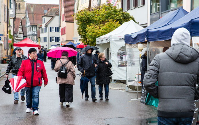 Stadtmarkt trotzt dem Wetter - Bild 26_26