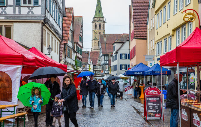 Stadtmarkt trotzt dem Wetter - Bild 27_27