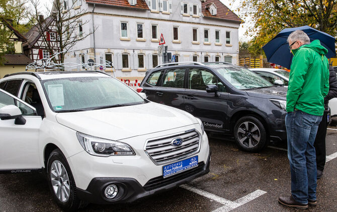 Stadtmarkt trotzt dem Wetter - Bild 29_29