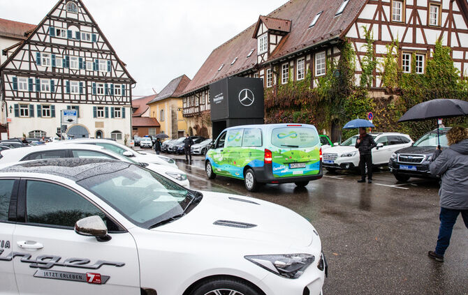 Stadtmarkt trotzt dem Wetter - Bild 30_30