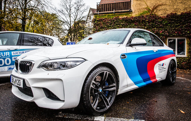 Stadtmarkt trotzt dem Wetter - Bild 31_31