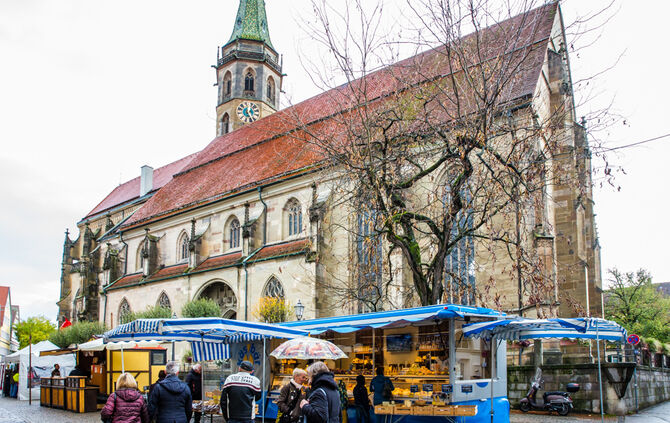 Stadtmarkt trotzt dem Wetter - Bild 49_48