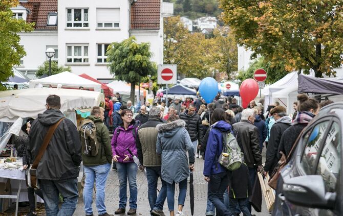 GroÃer TrÃ¶delmarkt in PlÃ¼derhausen_0