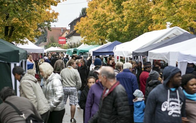 GroÃer TrÃ¶delmarkt in PlÃ¼derhausen_2