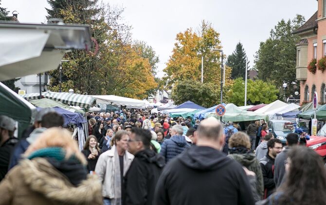 GroÃer TrÃ¶delmarkt in PlÃ¼derhausen_4