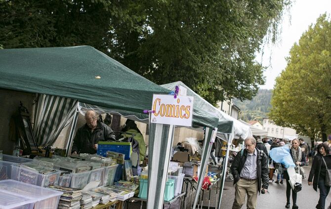 GroÃer TrÃ¶delmarkt in PlÃ¼derhausen_8