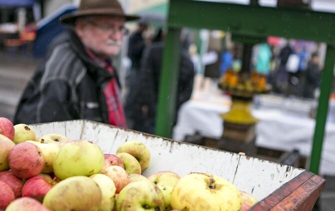 GroÃer TrÃ¶delmarkt in PlÃ¼derhausen_13
